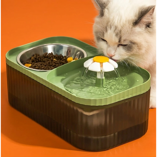 Fonte de água bebedouro 2 em 1