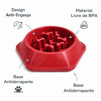 Comedouro Anti-Gula